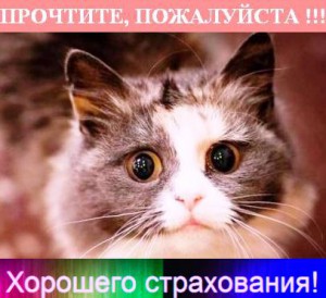 Lichnoe_obrashhenie